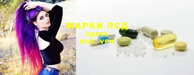 KRAKEN ссылка  Снежногорск  ЛСД экстази ecstasy 